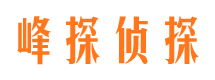 墉桥市侦探调查公司